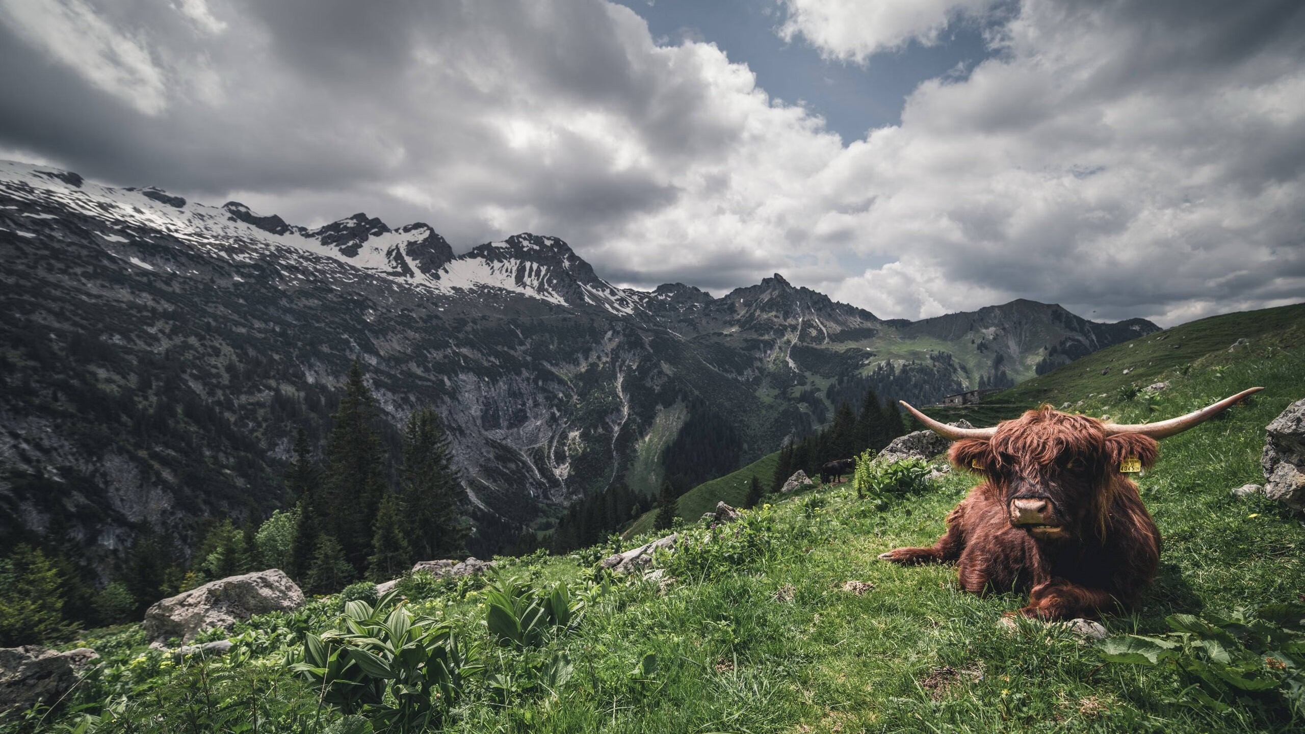 三度回应+绝杀！格纳布里冠军级表现助队卡塔尔巅峰对决中决胜比利亚雷亚尔