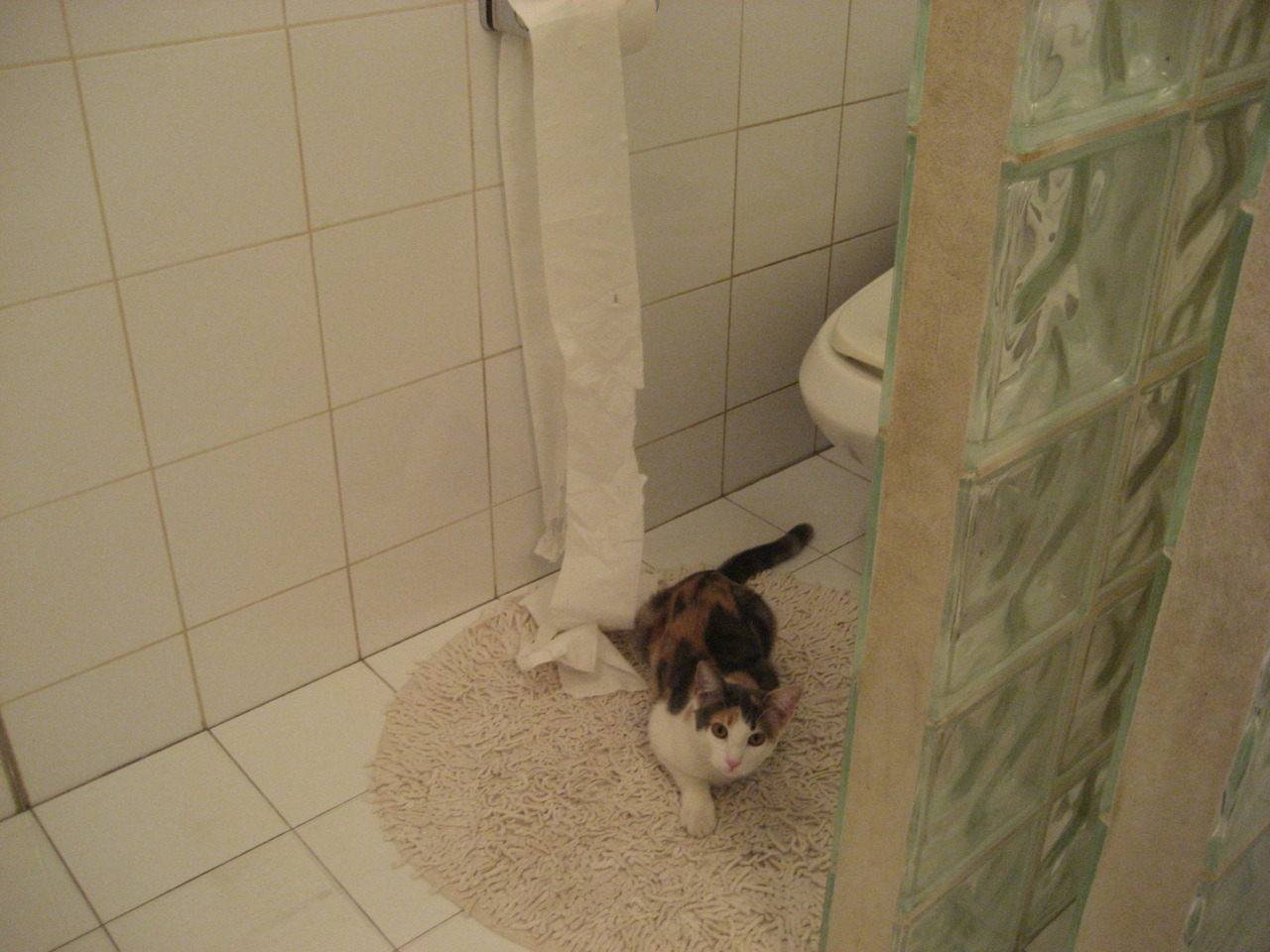 窒息之夜的破晓者—拳台斗兽场，阿尔瓦雷斯于年度焦点之战的熔炉中淬炼封王