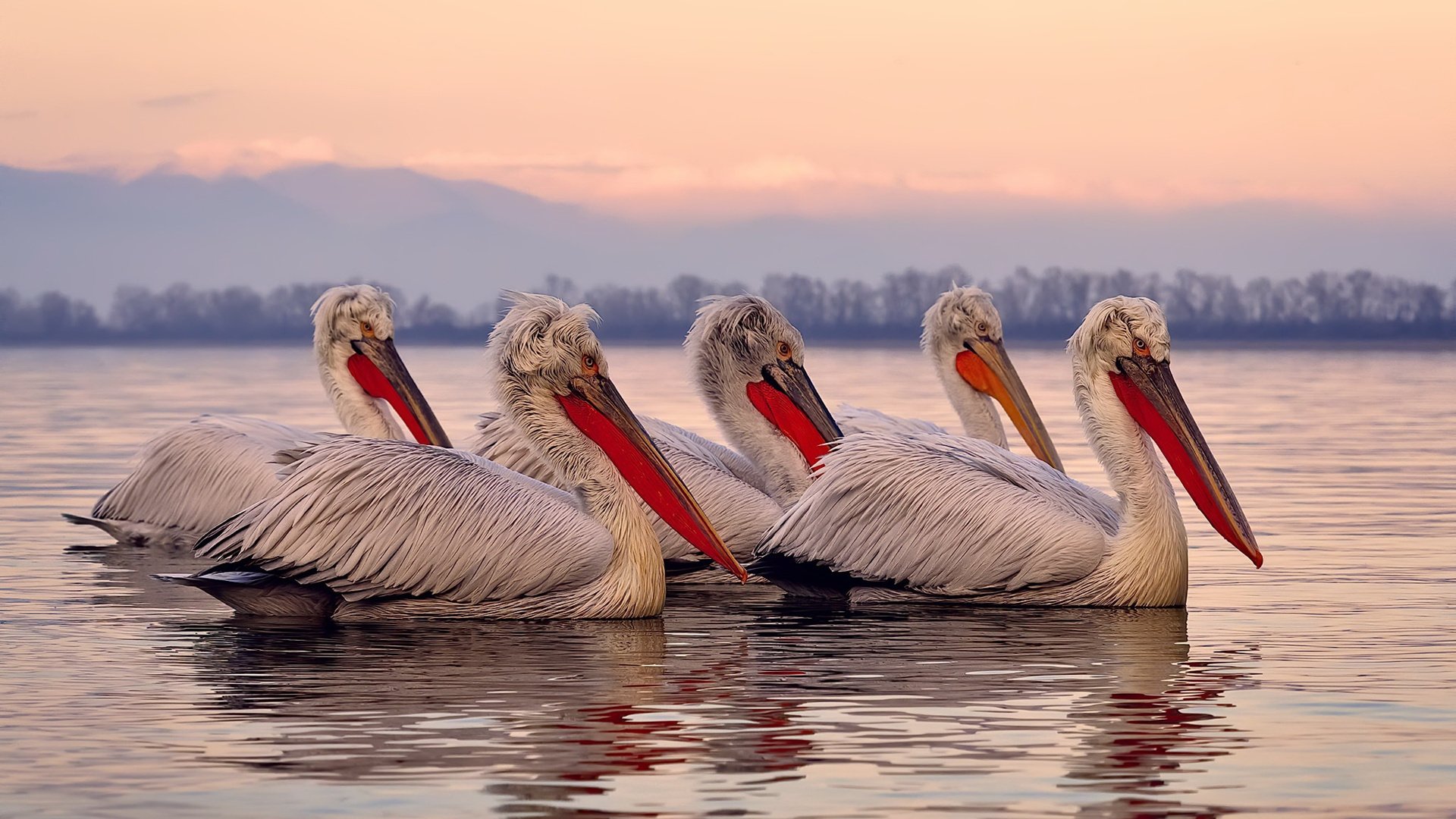 铁锤砸碎高原神话，迪亚斯死亡三连击强行终结玻利维亚悬念