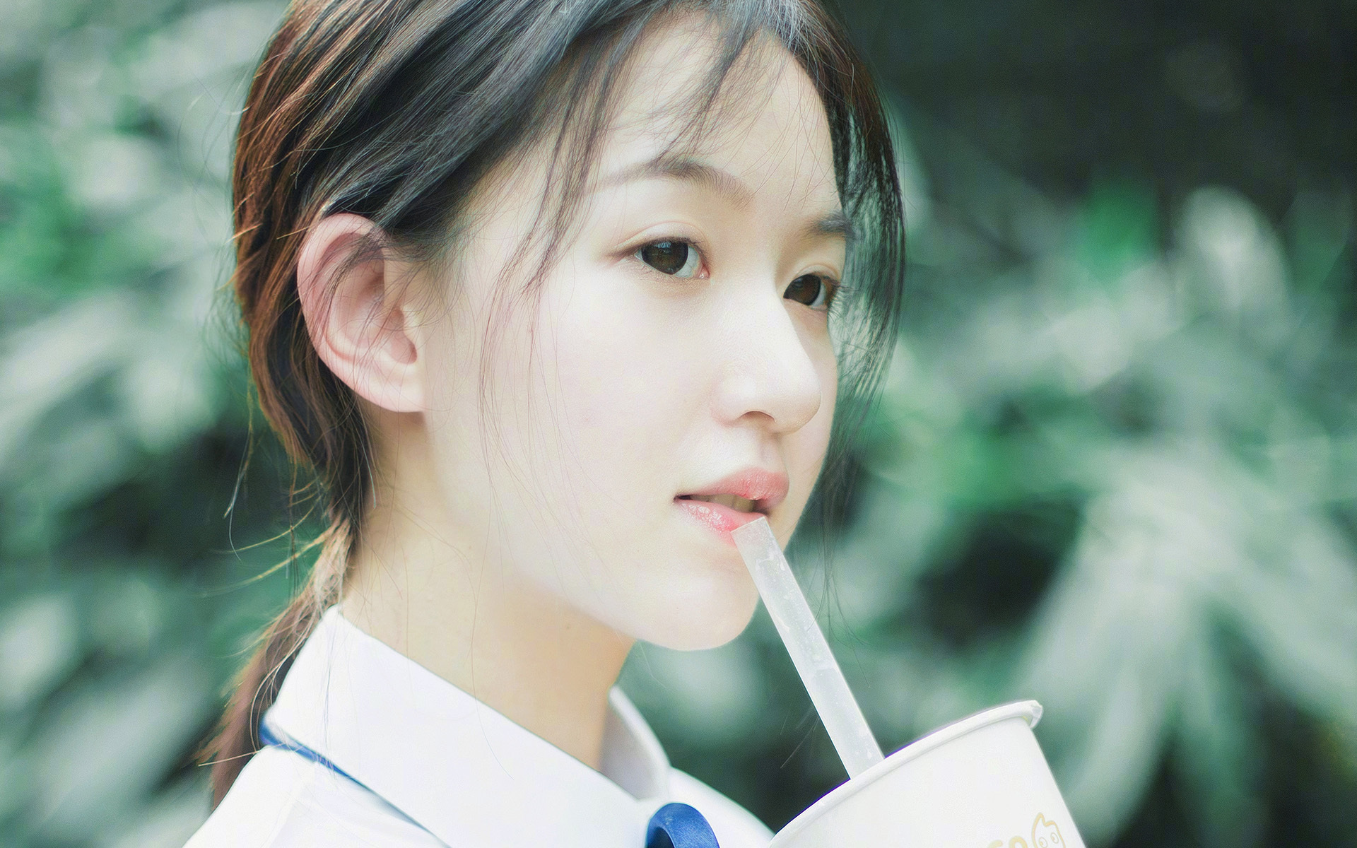 三声哨响，美加墨世界杯之夜的非洲心跳