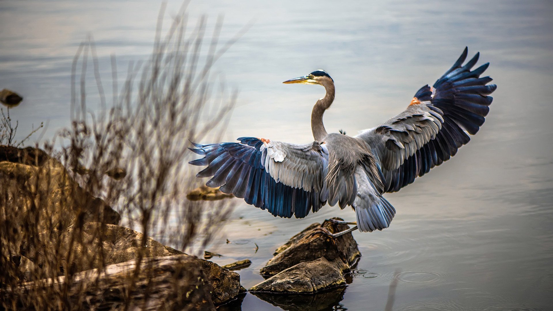 新骨撞碎旧墙，切特一役铭刻季后赛版图