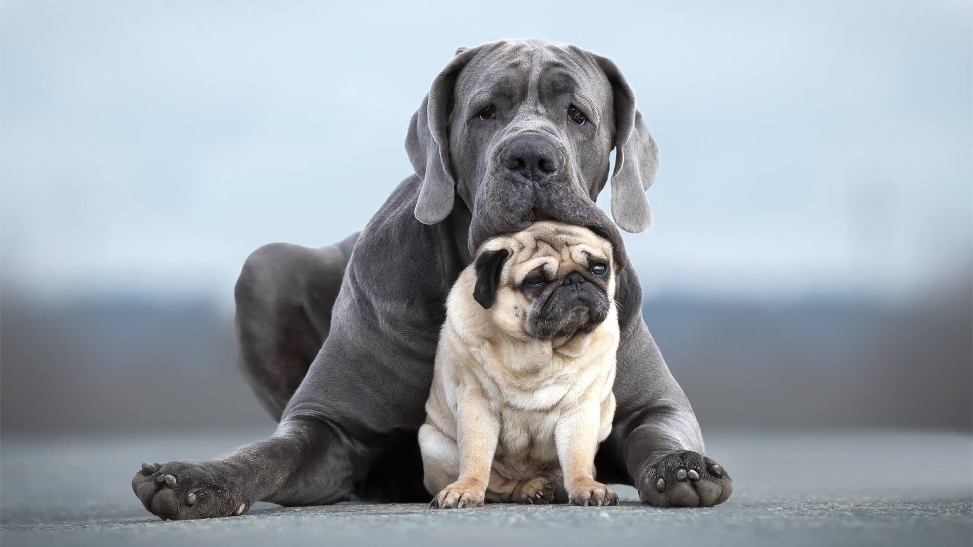 锡安暴力美学VS步行者鏖战艺术，当关键得分遭遇团队熬战