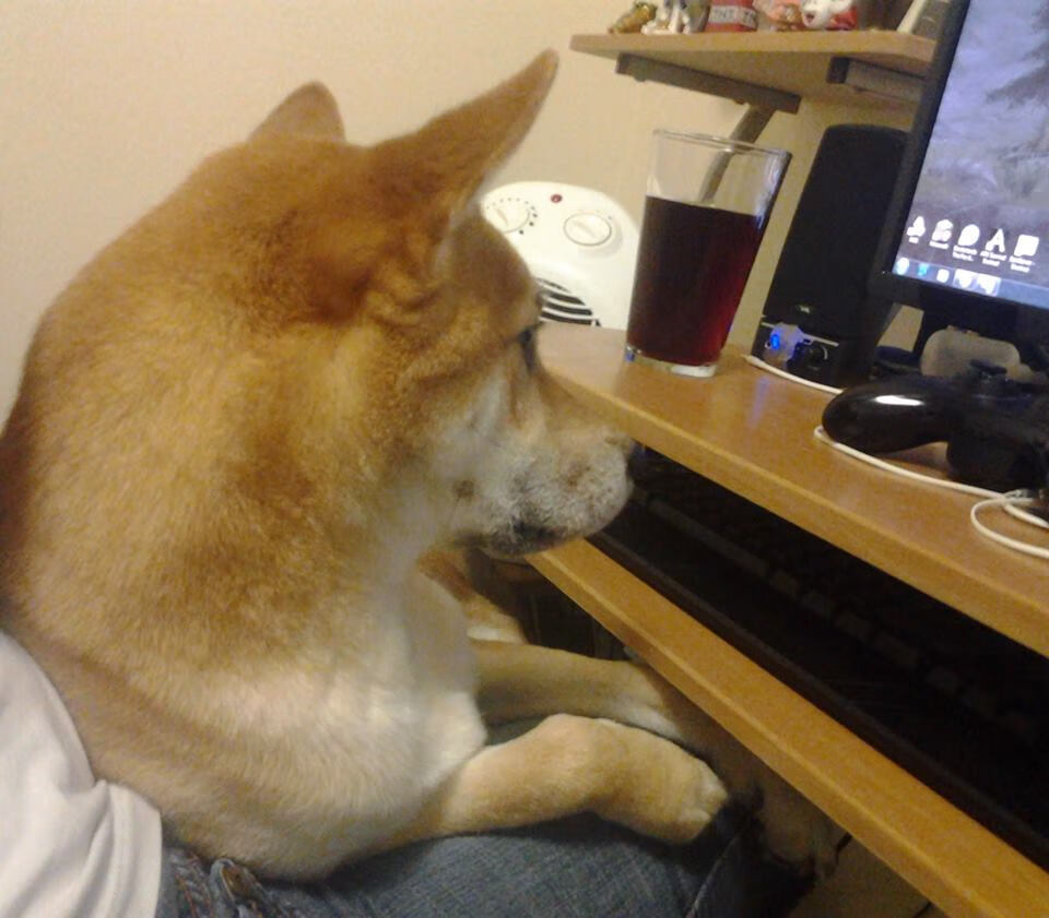 拉梅洛的第三节魔法，当一场NBA比赛在终场前18分钟被宣判终结