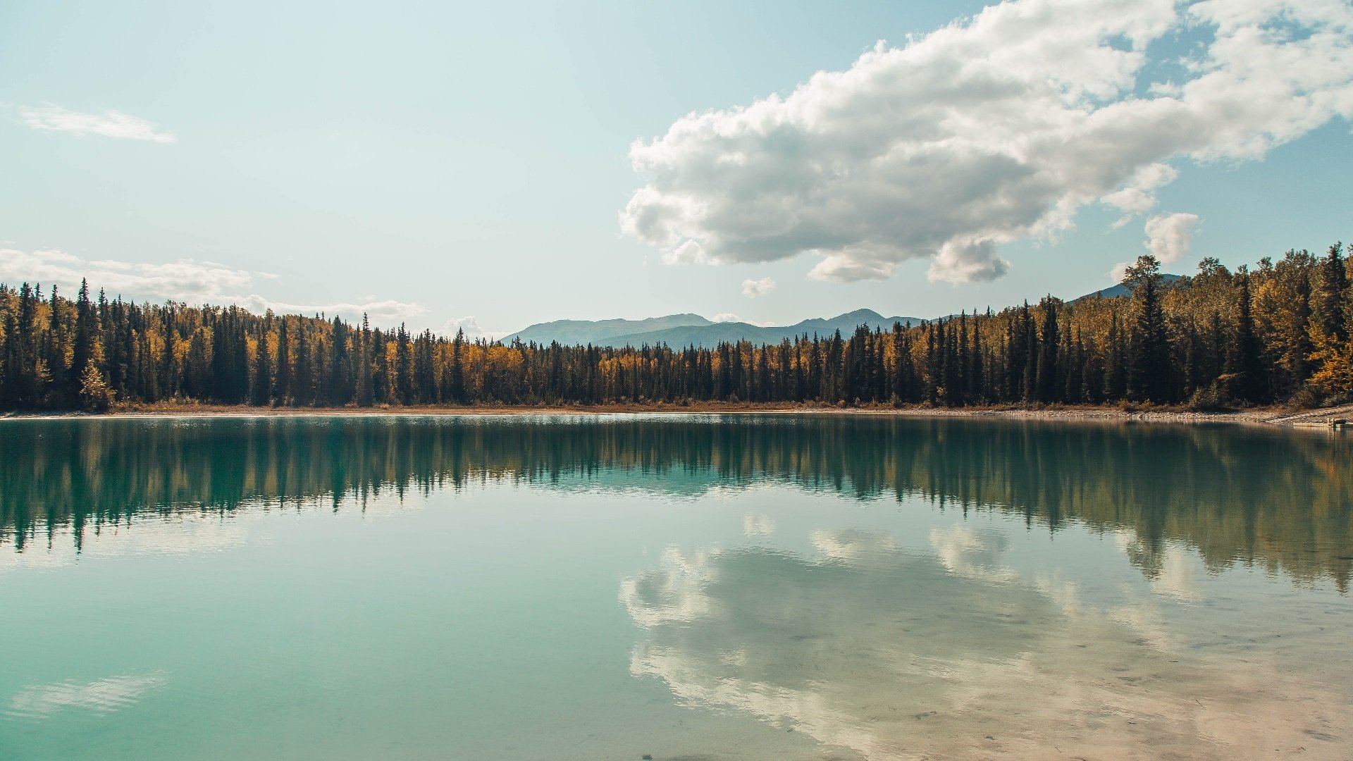 被撕裂的数据单，当孤胆英雄撞上觉醒巨人