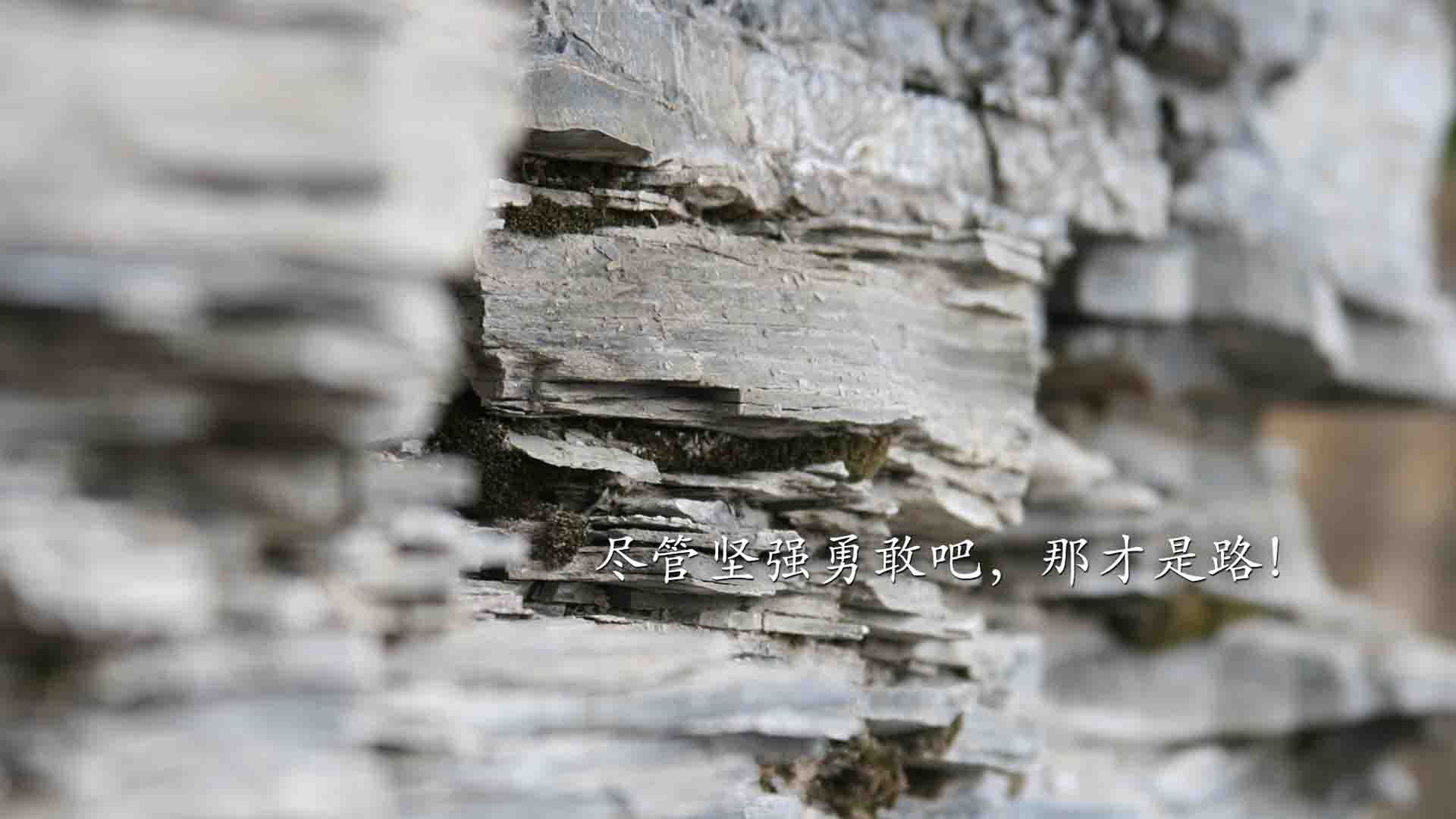橙衣军团的铁壁,与巴黎王子的独舞—2026世界杯D组强强对话,荷兰压制厄瓜多尔,姆巴佩闪耀全场