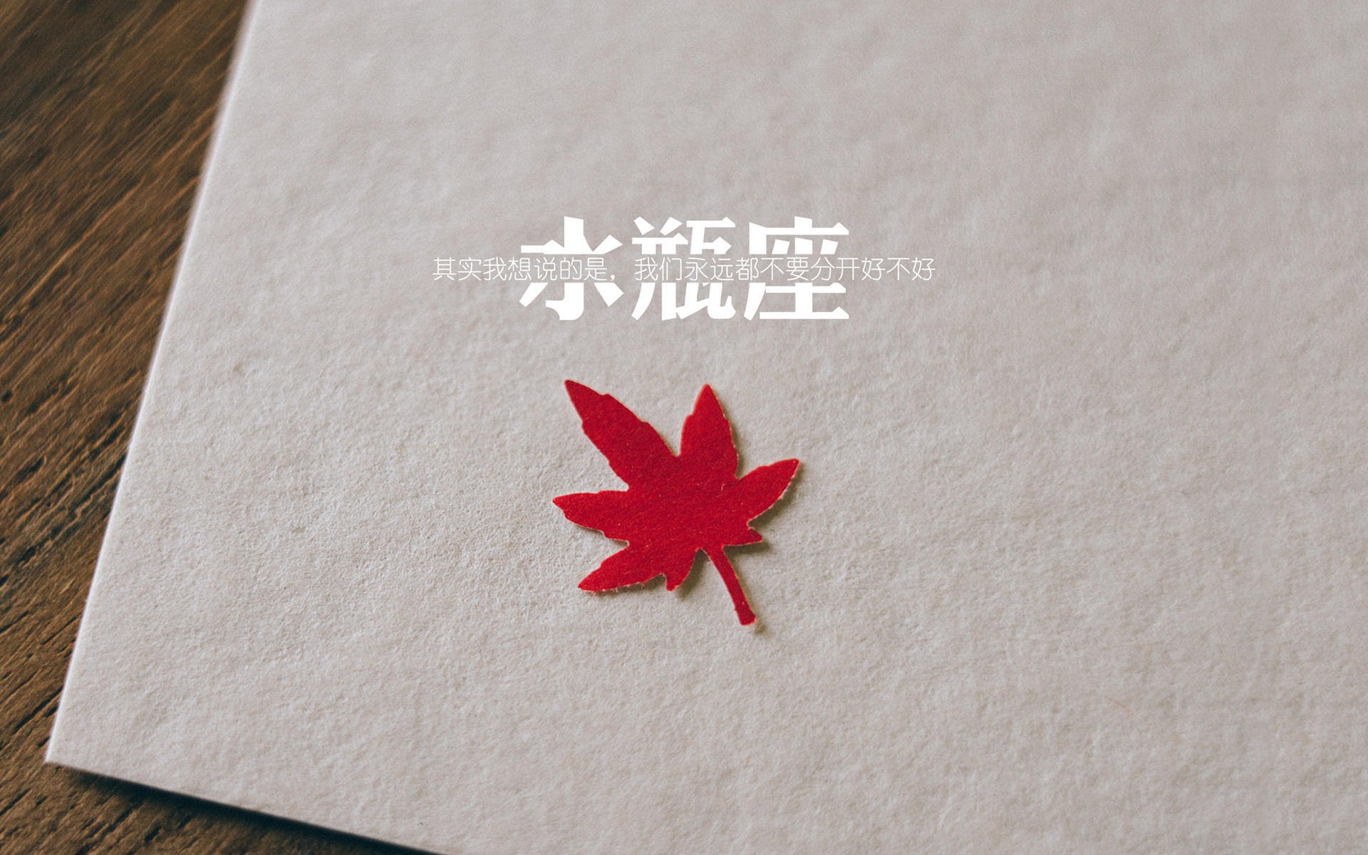 孤勇者的独白，2026世界杯，哥斯达黎加在绝境中击碎捷克，京多安的领袖之路只剩最后一块拼图