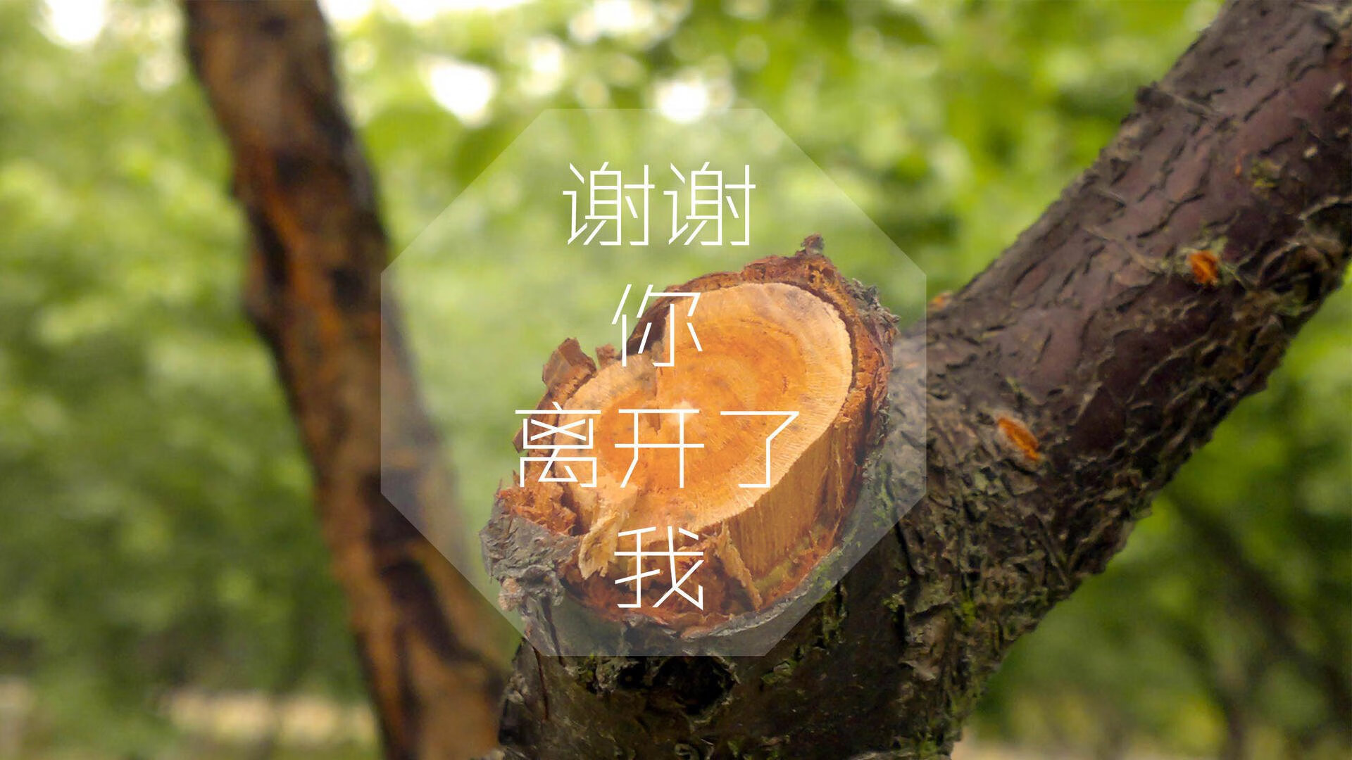 北欧铁骑的复仇,2026世界杯,孙兴慜率韩国队撕碎袋鼠军团的压制枷锁