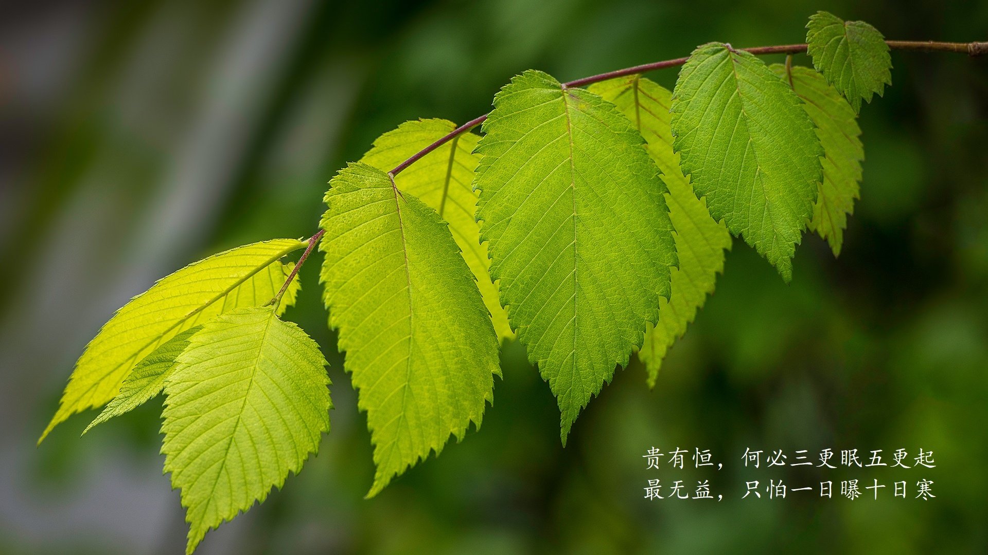 2026世界杯G组惊世冷门,印度神迹完胜挪威,塔雷米独舞闪耀,临场变阵书写亚洲足球新篇章