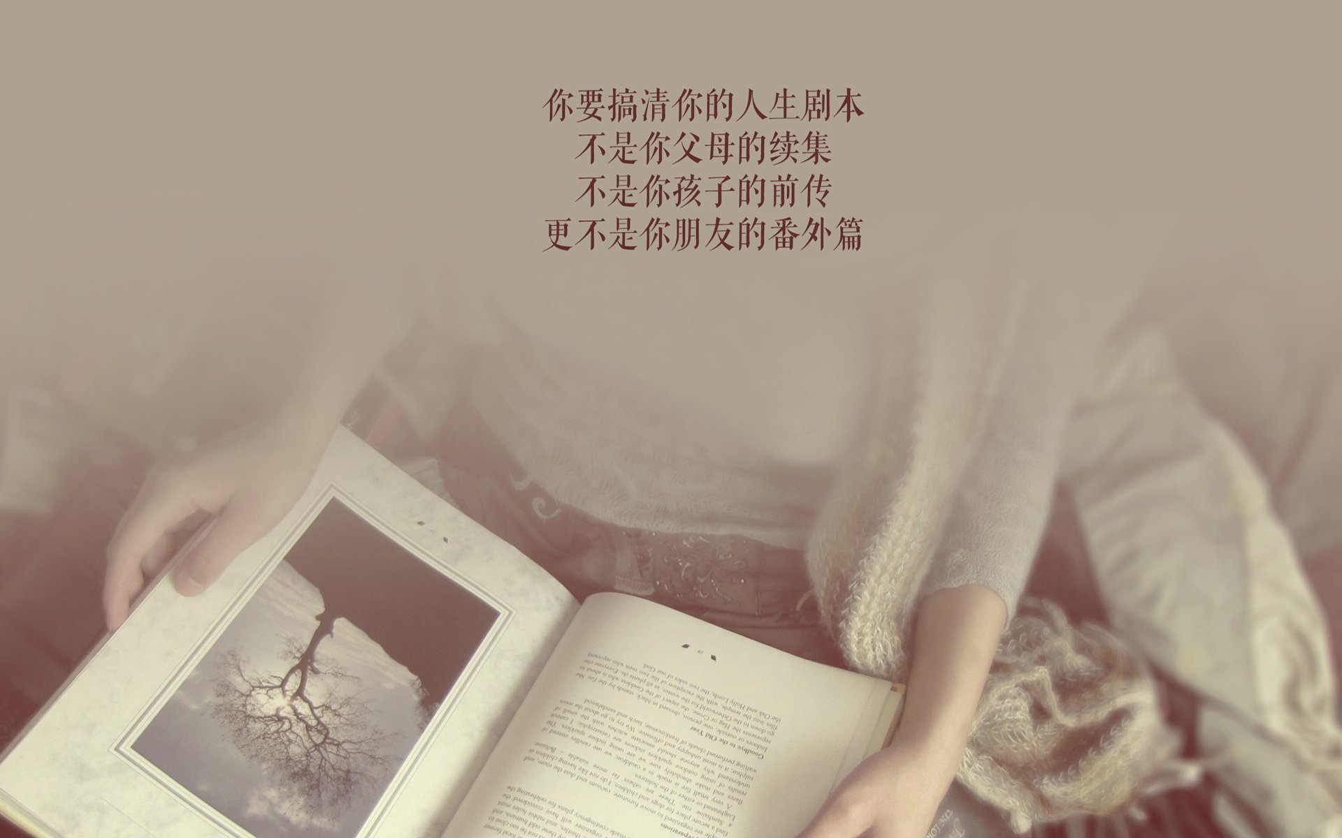 里斯本的月光下,历史在2026年重演,齐耶赫的致命一击改写葡萄牙与日本的宿命