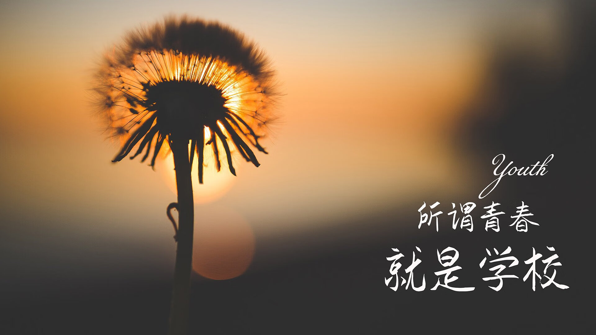 冰原狼王的黄昏,2026世界杯八分之一决赛,蓝衣军团用钢铁防线刺穿北欧神话